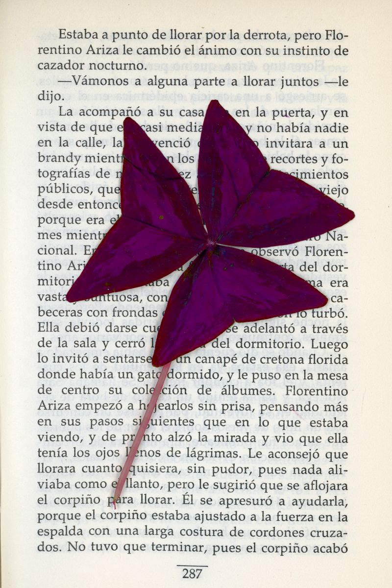 © Lucía Rincon - Soy el amor en los tiempos del cólera, mi hermano. (I am the love in the times of cholera, my brother.)