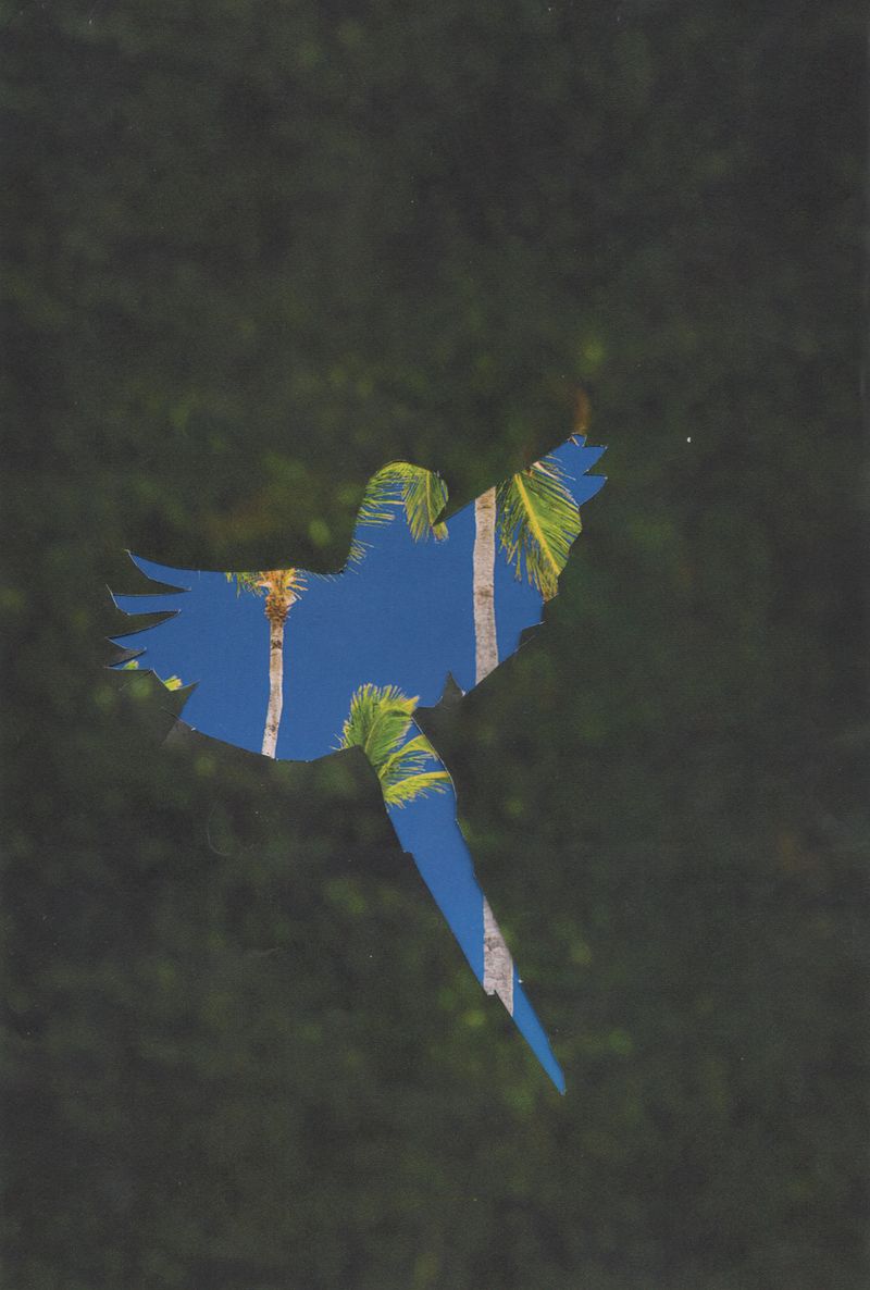 © Lucía Rincon - Image from the Macondo photography project