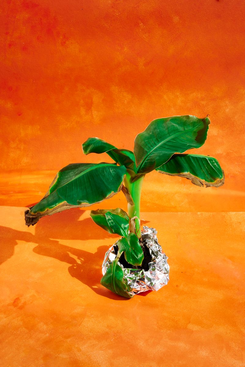 © Lucía Rincon - Image from the Macondo photography project