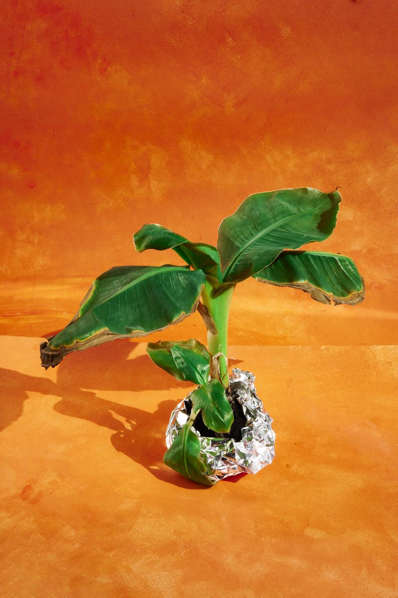 © Lucía Rincon - Image from the Macondo photography project