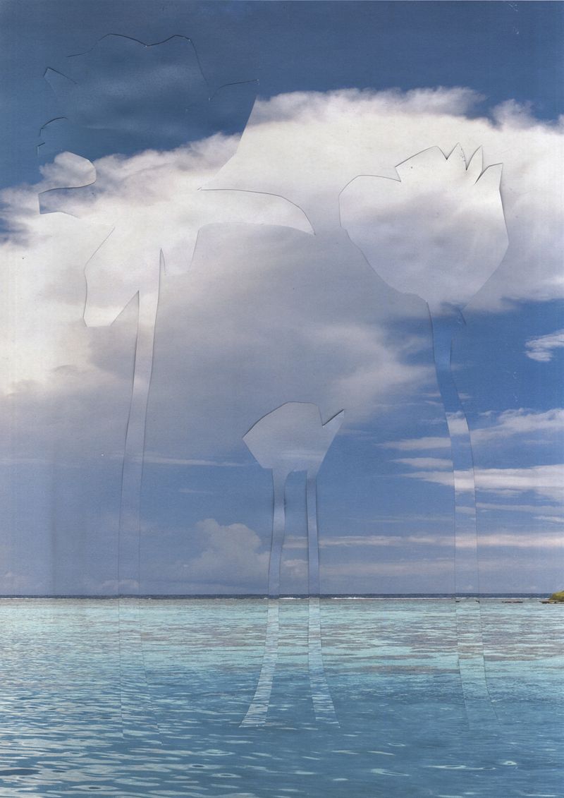 © Lucía Rincon - Image from the Macondo photography project