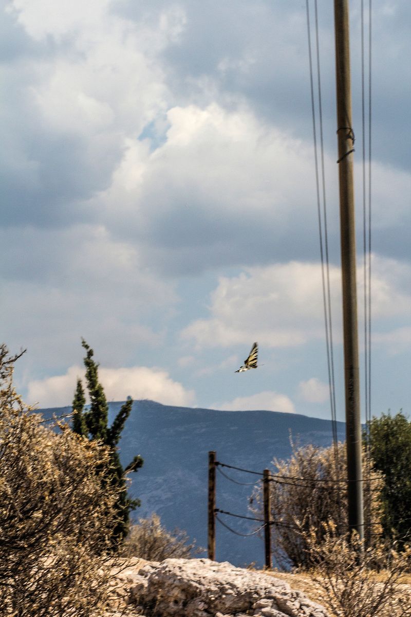 © Florine Thiebaud - Image from the Breaking Point photography project