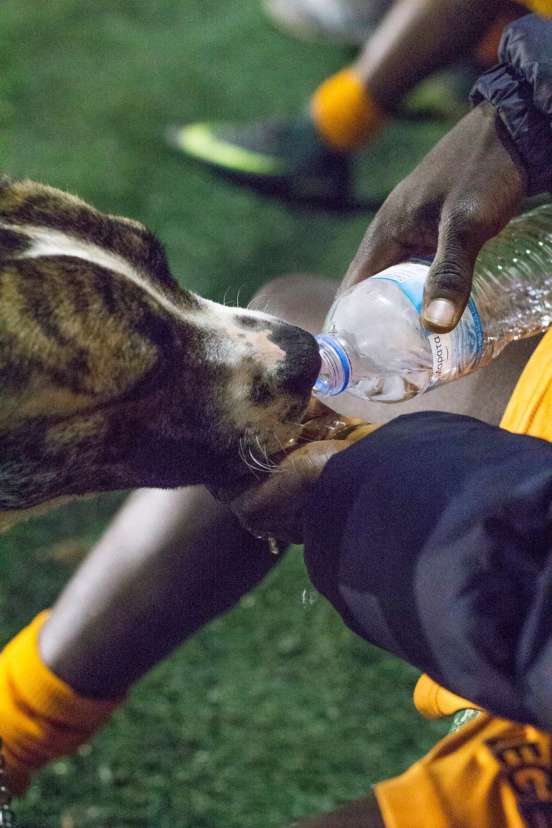 © Florine Thiebaud - Image from the Breaking Point photography project