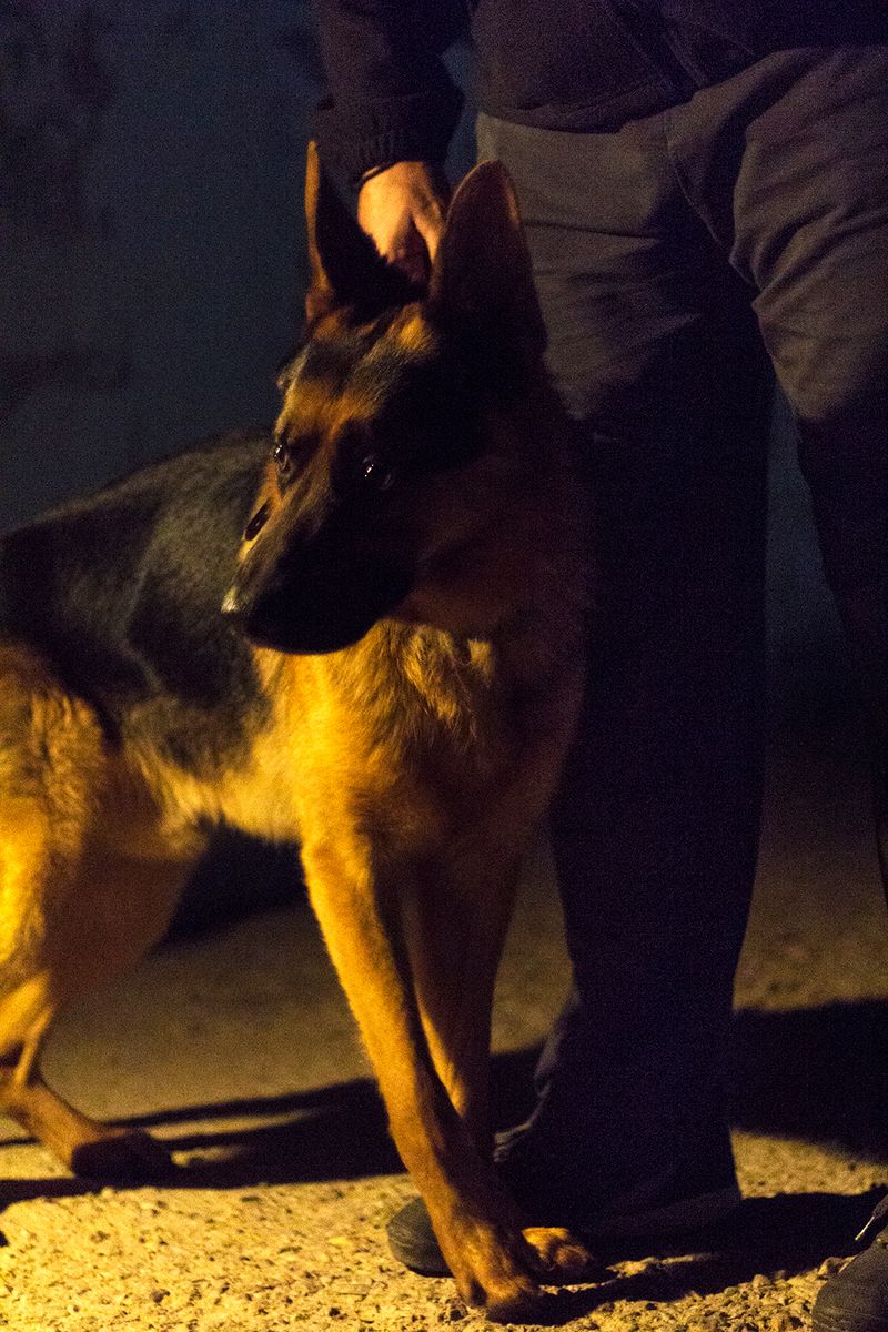 © Florine Thiebaud - Image from the Breaking Point photography project