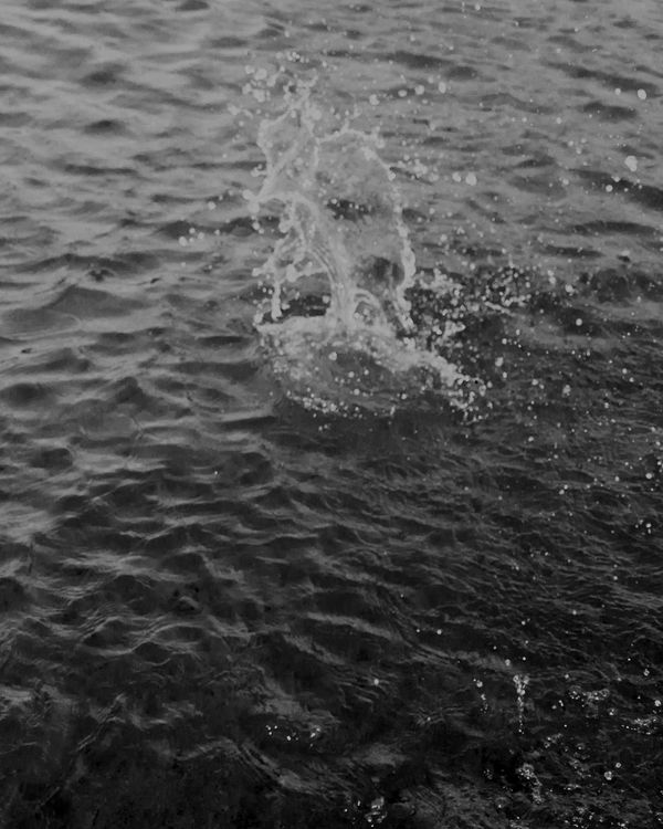 © Shay Amitai - Image from the CIELA photography project