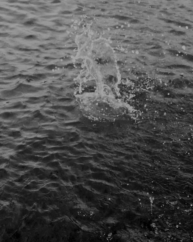 © Shay Amitai - Image from the CIELA photography project
