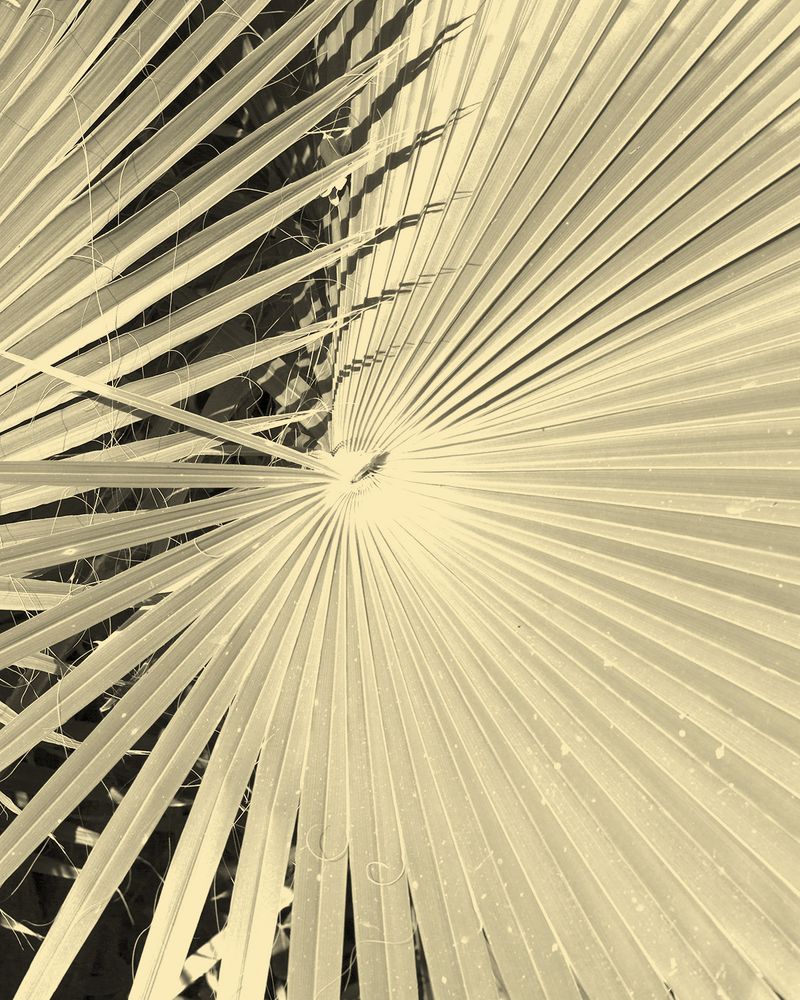 © Shay Amitai - Image from the CIELA photography project