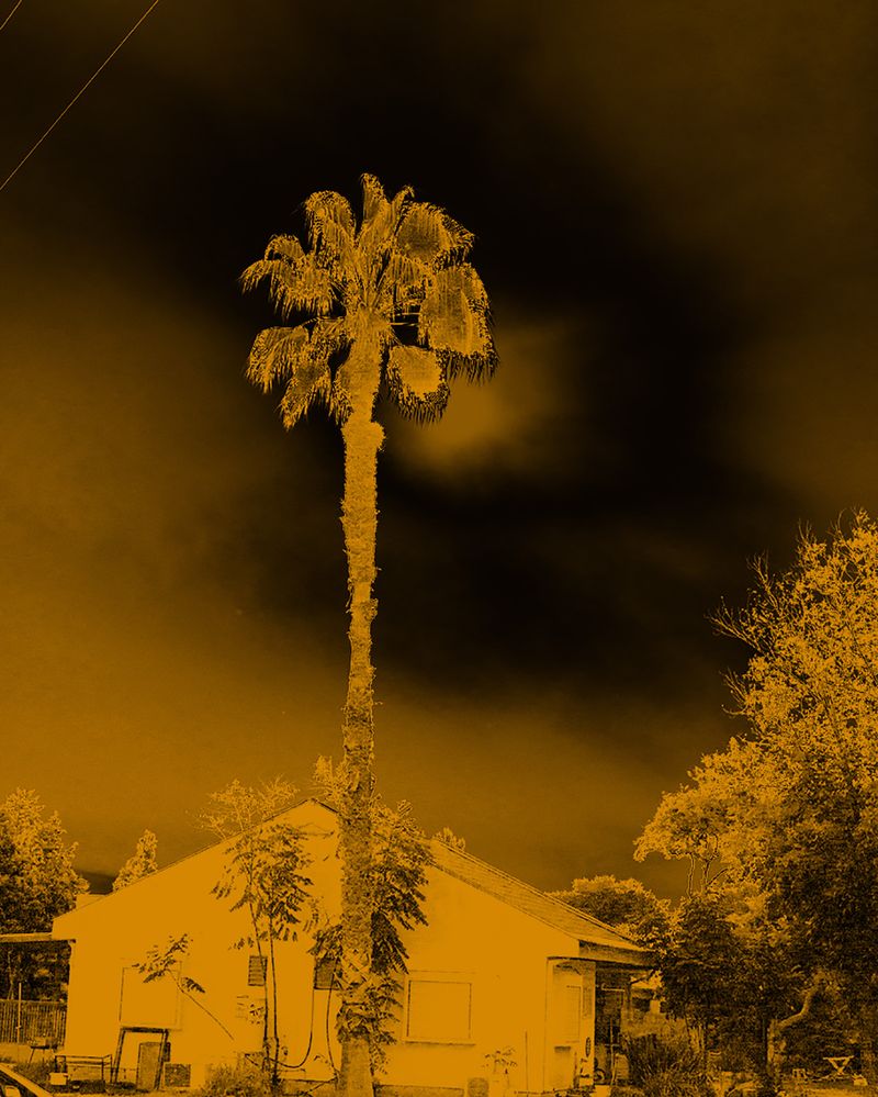 © Shay Amitai - Image from the CIELA photography project