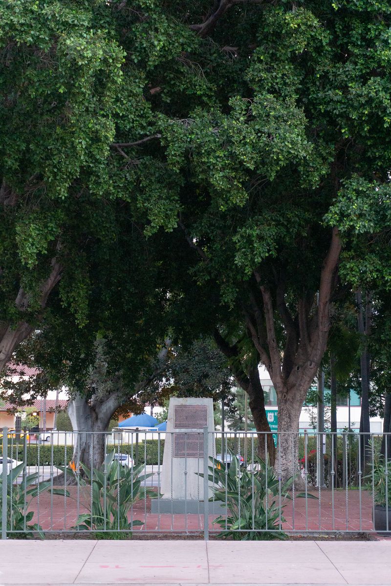 © Allison Stewart - Image from the Monuments (Removed) photography project