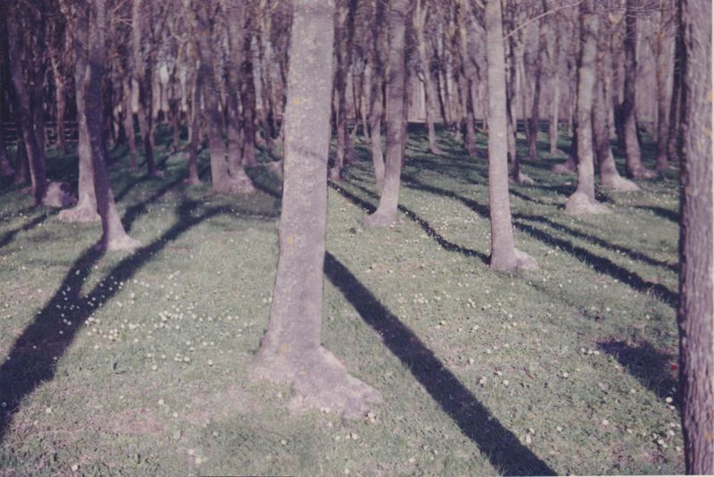 © Leslie Hakim-Dowek - Image from the Erased photography project
