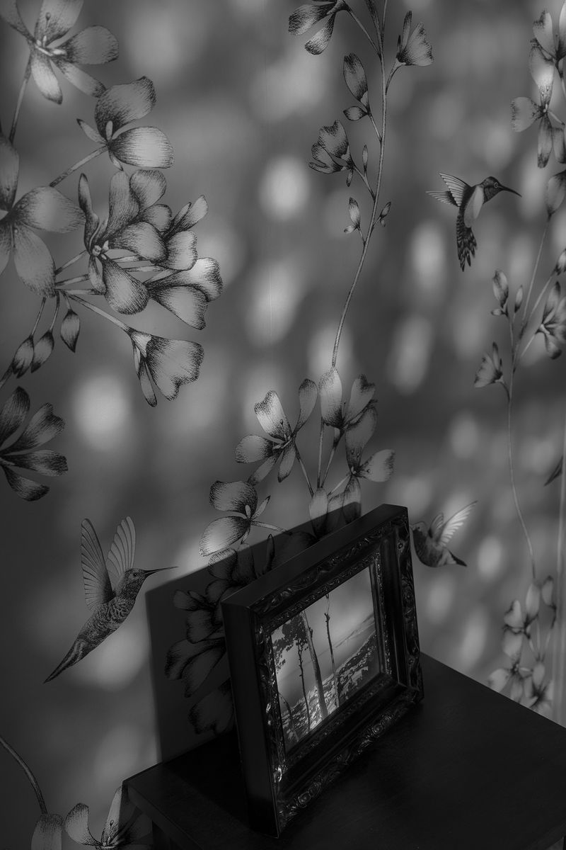 © Leslie Hakim-Dowek - Image from the Erased photography project