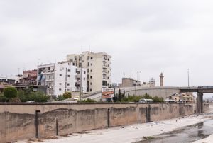 Along the Beirut River / Where Do Swans Come from ?
