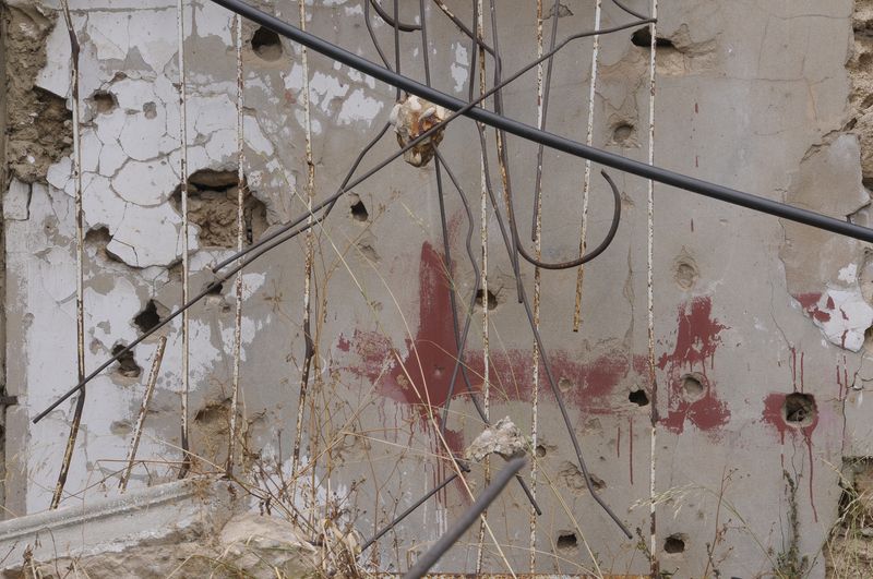 © Leslie Hakim-Dowek - Image from the Along the Beirut River / Where Do Swans Come from ? photography project