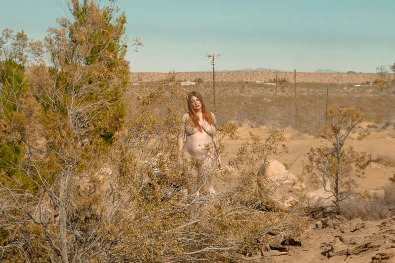 © Julia SH - Lorry's temporary home.