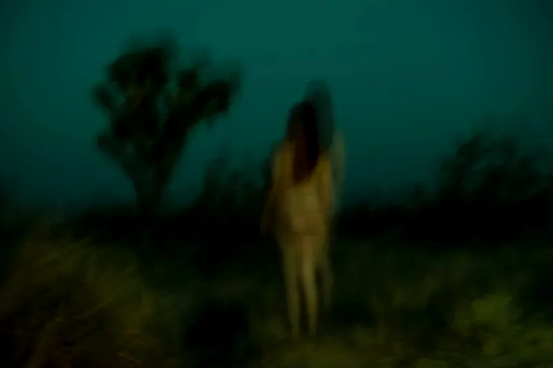 © Julia SH - Lorry in Joshua Tree at night.