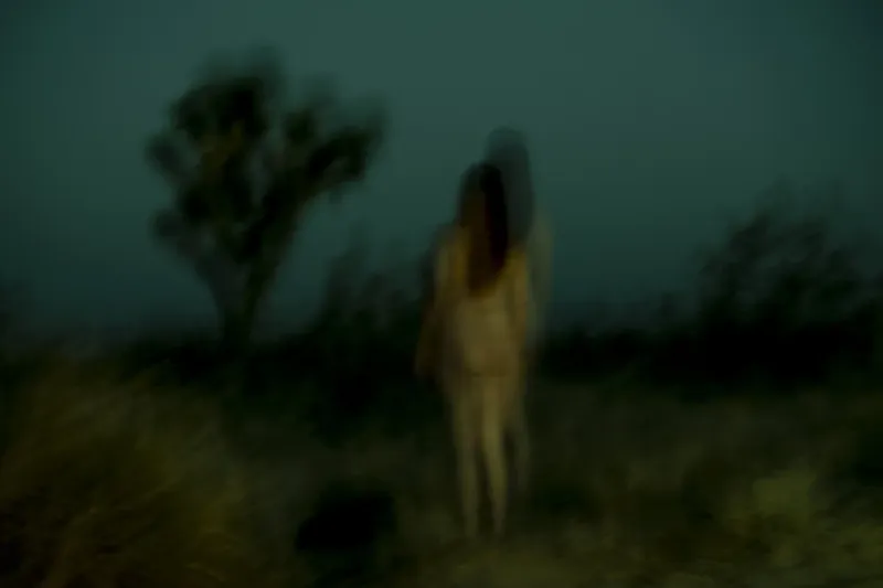 © Julia SH - Lorry in Joshua Tree at night.