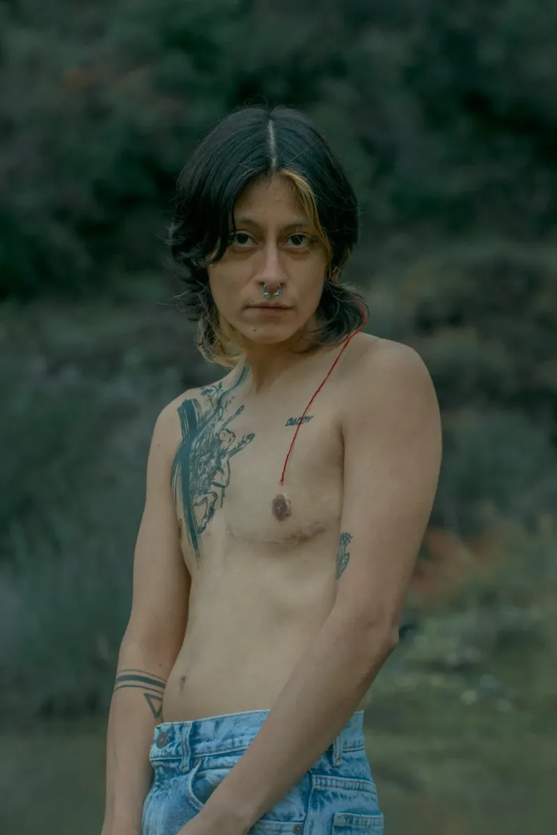 © Julia SH - Levi after the rain.