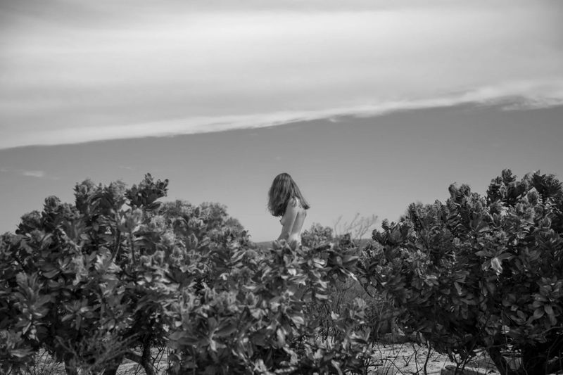 © Julia SH - Ashley among the only plants that withstood the fires