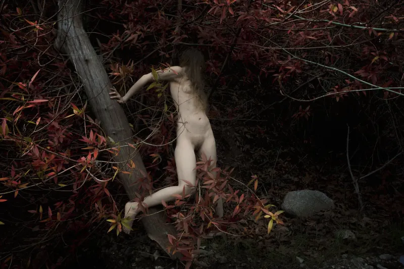 © Julia SH - Joanna's final journey.