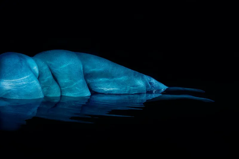 © Julia SH - Image from the Body Of Work photography project