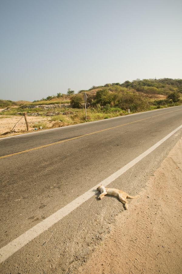 © Melba Arellano - Image from the National Highway photography project