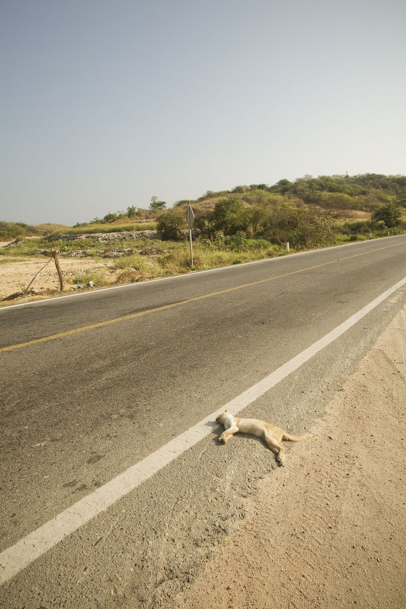 © Melba Arellano - Image from the National Highway photography project