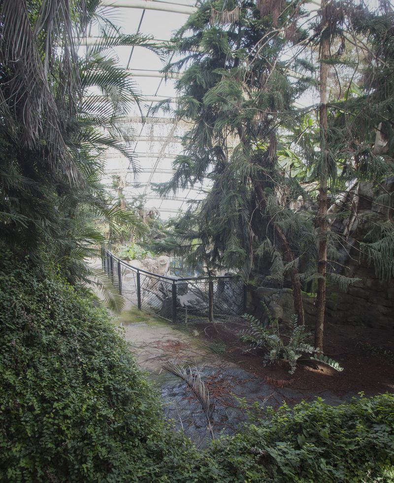 © Diego Drudi - Image from the So strong, so fragile. photography project