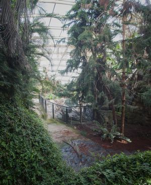 So strong, so fragile.