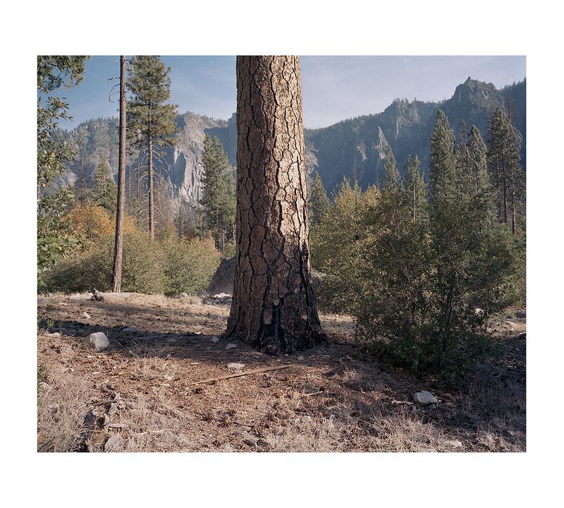 © Diego Drudi - Yosemite national park, California. 2019