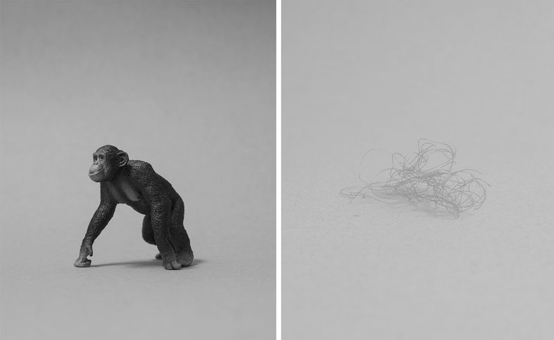 © Diego Drudi - Image from the So strong, so fragile. photography project