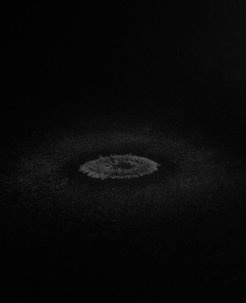 © Diego Drudi - Image from the So strong, so fragile. photography project