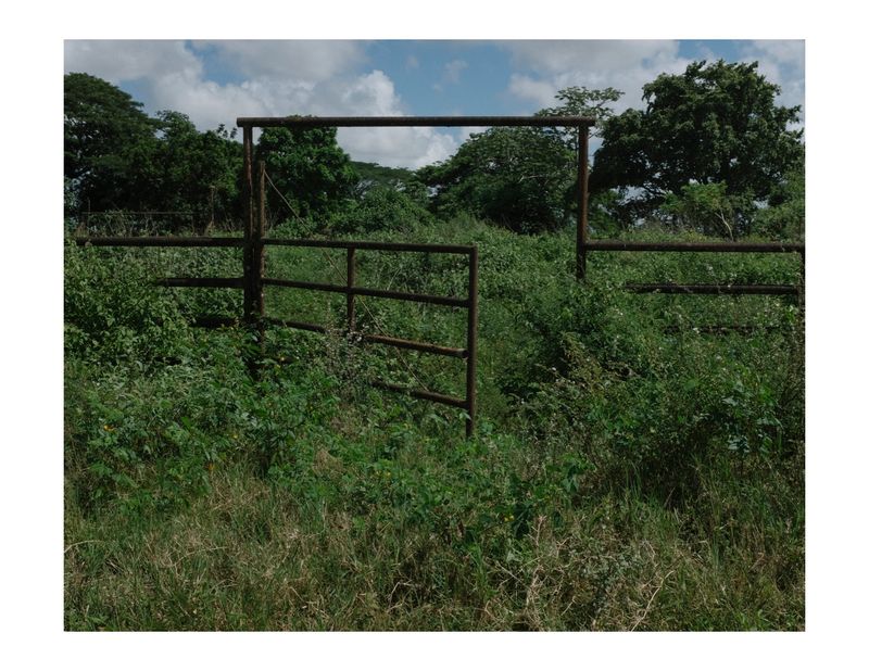 © Andrea Hernández Briceño - A rusty door at a country estate in Maturin, Venezuela, on August 16, 2018