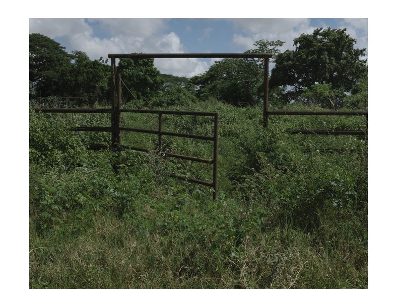 © Andrea Hernández Briceño - A rusty door at a country estate in Maturin, Venezuela, on August 16, 2018