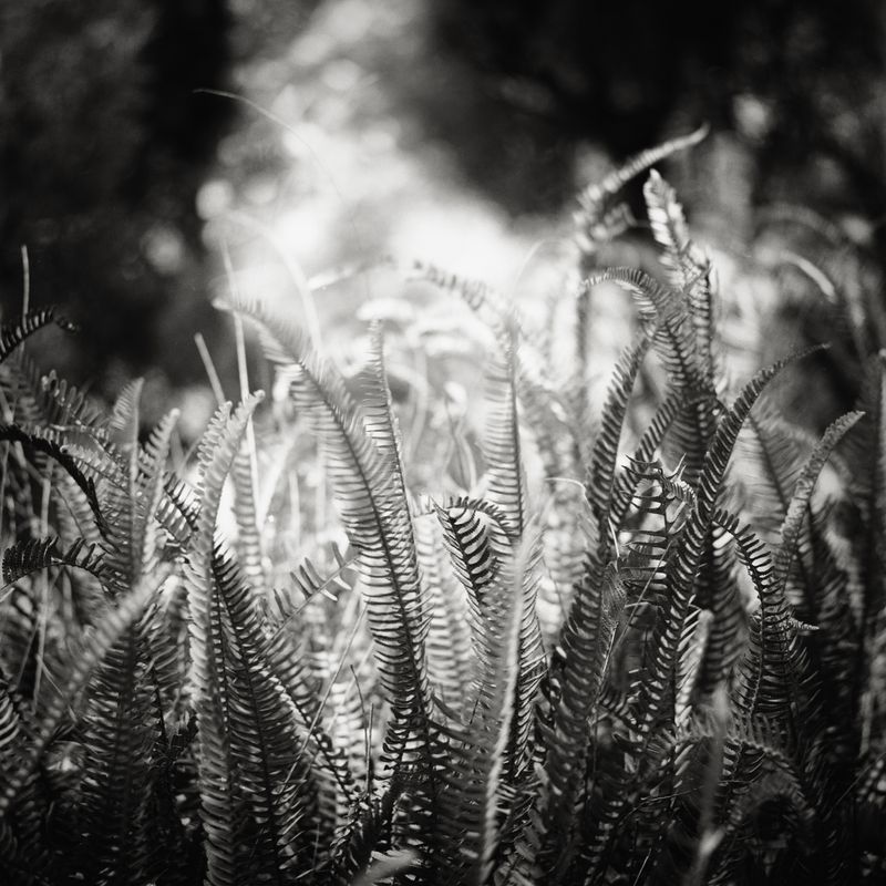 © Petra Barth - Image from the Anderswo / Elsewhere photography project