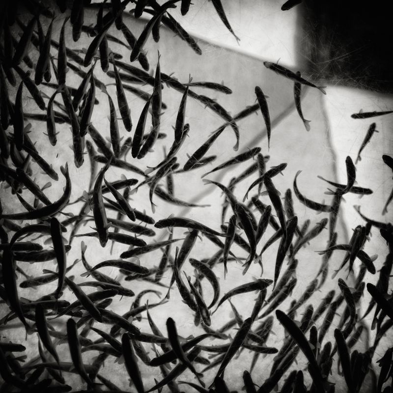 © Petra Barth - Image from the Anderswo / Elsewhere photography project