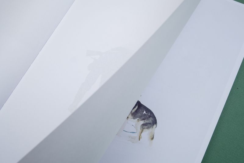 Image from a project on PhMuseum