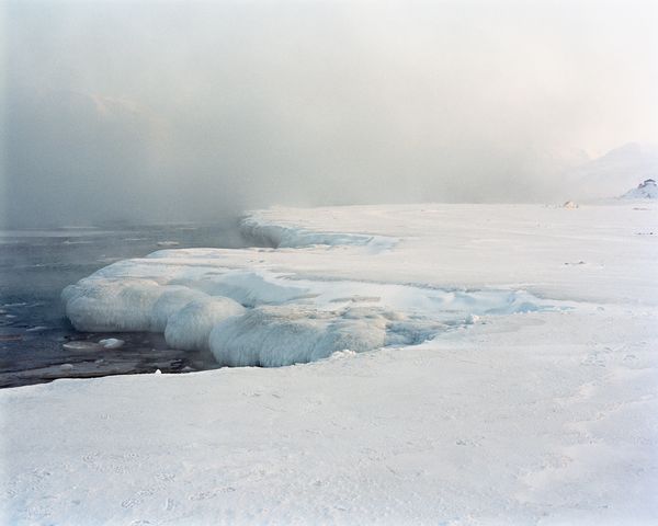 © Catherine Lemblé - Sea of Teeth