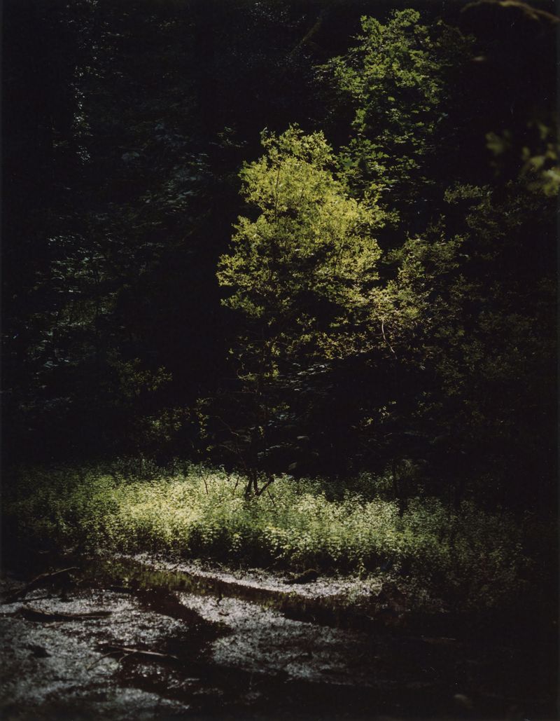 © Jamie Murray - Image from the Folly photography project