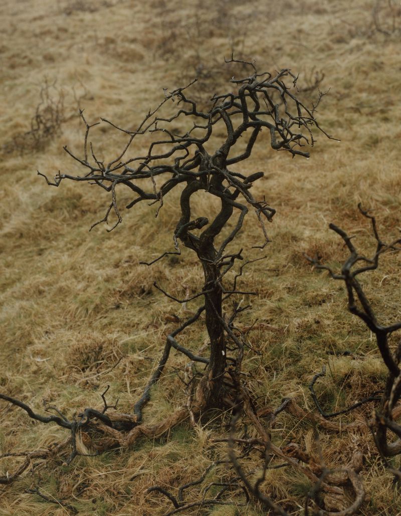 © Jamie Murray - Image from the Folly photography project