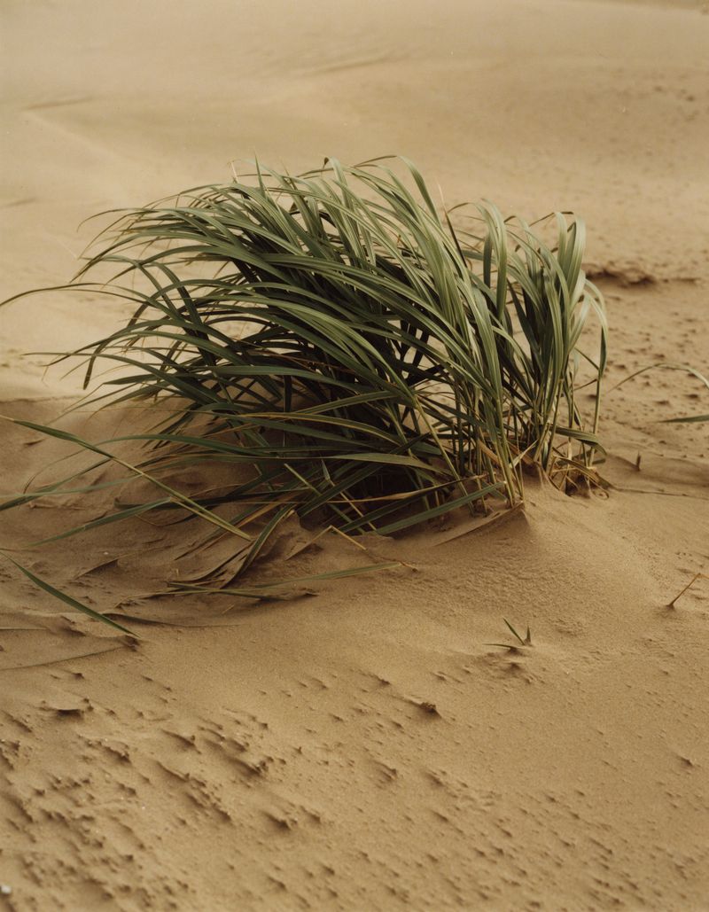 © Jamie Murray - Image from the Folly photography project