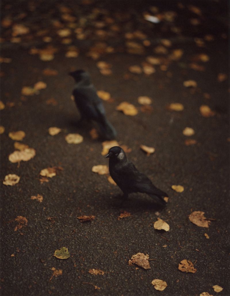 © Jamie Murray - Image from the Folly photography project