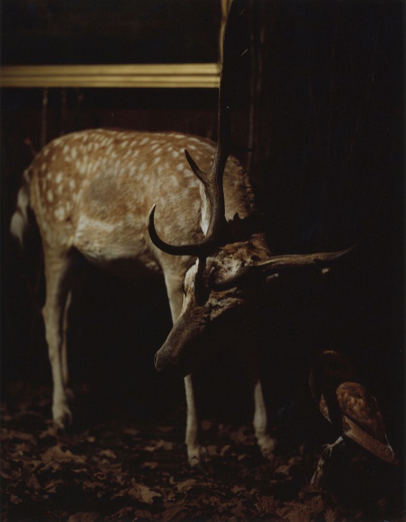 © Jamie Murray - Image from the Folly photography project