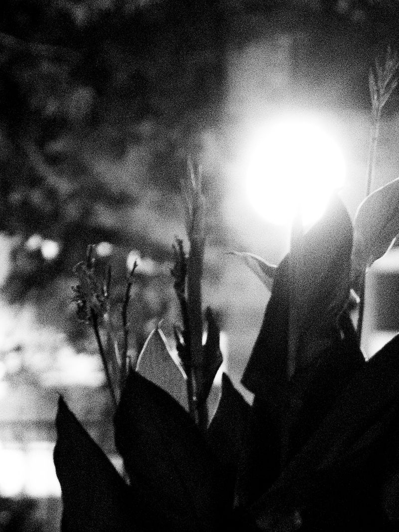 © Henrietta Soininen - Image from the If i scream hopefully they'll hear me photography project