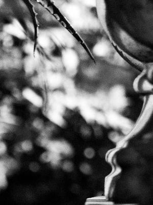 If i scream hopefully they'll hear me