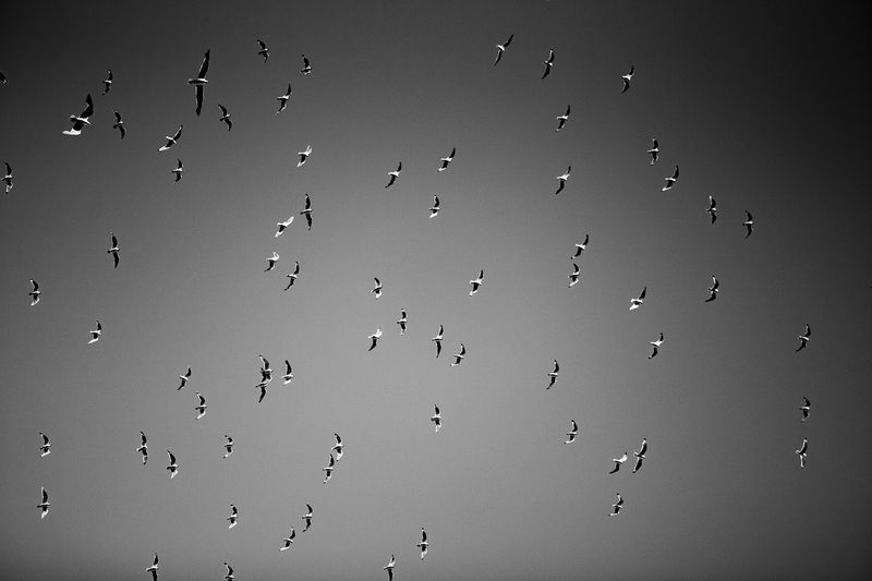 © Facundo Sarthes - Image from the Playa photography project