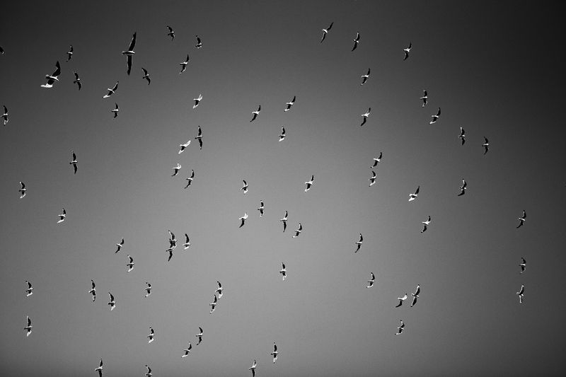 © Facundo Sarthes - Image from the Playa photography project