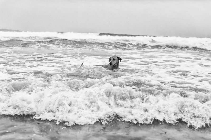 © Facundo Sarthes - Image from the Playa photography project