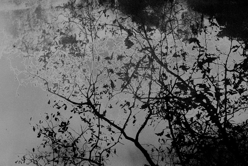 © Bruno Silva - Image from the Pego Negro photography project