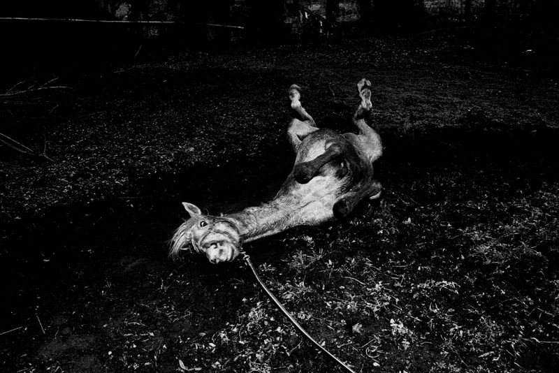 © Bruno Silva - Image from the Pego Negro photography project