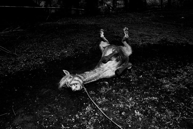 © Bruno Silva - Image from the Pego Negro photography project